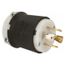 Industrial Locking Plug, L22-30P, 277 & 480V, Black & White, HBL2821