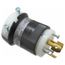 3P Industrial Locking Plug, Non-NEMA, 125 & 250V, Black & White, HBL3331C