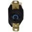 2P 3 Wire 250 VAC, 20 Amp, L6-20R NEMA, Self Grounding Receptacle, Black, HBL2320