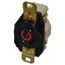 2P 3 Wire 480 VAC, 20 Amp, L8-20R NEMA, Self Grounding Receptacle, Black, HBL2340