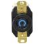 120/208 VAC, 20 Amp, L21-20R NEMA, Self Grounding Receptacle, Black, HBL2510
