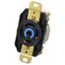 120/208 VAC, 30 Amp, L21-30R NEMA, Self Grounding Receptacle, Black, HBL2810