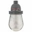 120 VAC, 150 Watt, Incandescent Hazardous Location Light Fixture, 4-1/2" Wide x 9-5/8" High, DVA-120