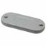 2" Trade, Cast Iron Conduit Body Cover Plate, 670C