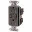 USB Charger Duplex Receptacle, 15A 125V, 2-Pole 3-Wire Grounding, 5-15R, (2) 5A USB Ports (Gray), USB15A5GY