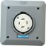 250 VAC, 20 Amp, L15-20R NEMA, Self Grounding Receptacle, Gray, HBL2420SR2