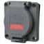 480 VAC, 30 Amp, L16-30R NEMA, Self Grounding Receptacle, Gray, HBL2730SW