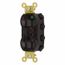 Hospital Straight Blade Duplex Receptacle, Self-Grounding, 15A, 125v, Black, SNAP8200BKA