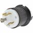 2P 3 Wire Industrial Locking Plug, L7-30P, 277V, Black, HBL2631