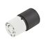30 A 125 V 2-Pole 3-Wire Locking Nema L5-30C Connector