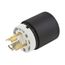 30 A 125 V 2-Pole 3-Wire Locking Plug Hub Pro L5-30P