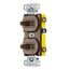 Two 1-Pole Toggle Combination Device, Residential, 15A 120V AC, Self Grounding, Side Wired (Brown), RC101
