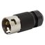 50 A 125/250 Vac 3-Pole 4-Wire Twist-Lock Economy Male Plug (Black)
