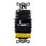 20 A 125 Vac 2-Pole 3-Wire Gfci Receptacle, Self-Test