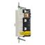 15A 125 V 2-Pole 3-Wire Commercial Weather Resistant Autoguard Self-Test Gfci Receptacle (White)