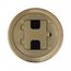 Flange And Hinged Door Cover W/ Tamper-Resistant Duplex Receptacle, Solid Brass