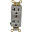 Straight Blade Duplex Receptacle, NEMA 5-20R, 20A, Self-Grounding, Gray, HBL5352GY