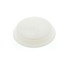 1-1/2" ABS Test Cap (5817P)