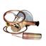 TXV Valve, 1081727