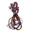 Wiring Harness w/ Molex Plug, 1085563