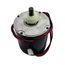 CW Condenser Motor (1 Phase, 1100 RPM, 3/4 HP, 460V), 1099698