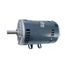 208-230/460v 3 PH 3 HP 1725 RPM, 1170540