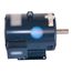 Motor Belt 3/230/460 5.0 1800, 1170592