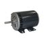 Motor, 1175717