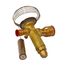 12.5 Ton Thermal Expansion Valve Non-bleed R-22, 1184203