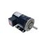 Blower 5.25 Hp Motor, 1185186