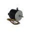 Outdoor Motor, 1193994