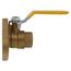 1/2" Threaded Isolator Flange (IPS)