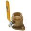 1-1/2" Threaded Isolator Flange (IPS)