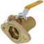 1" Threaded Isolation Flange w/ Hose Drain