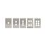 1 Port Faceplate 1 Gang, Stainless Steel (Includes Port), BAL-SP1