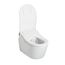 CWT4474047CMFG#MS Washlet + Rp Wall Hung D Shape Toilet w/ RX Bidet Seat & Duofit In Wall 1.28 & 0.9 GPF Dual Flush Tank System (Matte Silver)