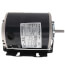 115v 1/3 HP 1725 RPM Motor, J31R00102-001
