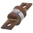 100 Amp Fast-Acting Class T Power Fuse (300V)
