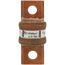 150 Amp Fast-Acting Class T Power Fuse (300V)