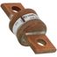 150 Amp Fast-Acting Class T Power Fuse (300V)