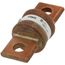 150 Amp Fast-Acting Class T Power Fuse (300V)