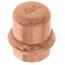 1/2" Press Copper Cap