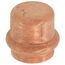 3/4" Press Copper Cap