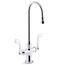 Triton Bowe Monoblock Gooseneck Bathroom Sink Faucet with Wristblade Handles, Laminar Flow, 0.5 GPM, K-100T70-5ANL-CP