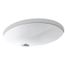 Caxton 19-1/4" Undermount Bathroom Sink (White), K-2210-0