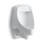 Dexter Siphon-Jet Half-Stall Rear Spud Urinal, 0.5 - 1.0 gpf (White), K-5016-ER-0