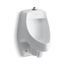 Dexter Siphon-Jet Top Spud Antimicrobial Urinial, 0.5/1.0 gpf (White), K-5016-ETSS-0
