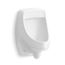Dexter Washout Half-Stall Rear Spud Urinal, 0.125 gpf (White), K-5452-ER-0