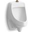 Dexter Washout Half-Stall Top Spud Urinal, 0.125 gpf (White), K-5452-ET-0