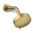 Awaken G110 Multi-Function Showerhead, 1.75 GPM (Moderne Brass), K-72419-G-2MB